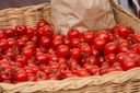 Семена овощей Вкусный коктейльный томат Pleny