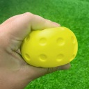 Pickleball