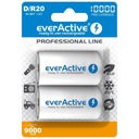 2x АККУМУЛЯТОРЫ D R20 EverActive 10000 мАч