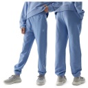 Спортивные штаны для девочек 4F джоггеры SPORTS 4FJWSS24TTROF600 JUNIOR 140