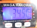 BEAM BACK FIAT PANDA II (169_) HB  photo 11
