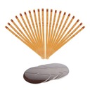 20 х свечей для уха свечей + стендов