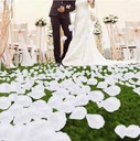 Конфетти белые лепестки роз 500 шт. Годовщина Свадьба Свадьба