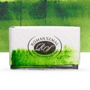 Akwarela Aquarius Szmal 233 Sap Green