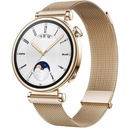 РЕМЕШОК-БРАСЛЕТ ДЛЯ HUAWEI WATCH GT 4 41MM CLASSIC ELITE