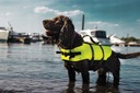 Водный спасательный жилет для собак КАПОК, размер L