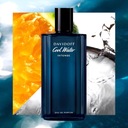 Davidoff Cool Water Intense Woda Perfumowana 125ml Rodzaj perfumy