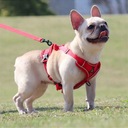 POPRUHY BEZ TLAKU pre malého psa TINY M červená Ďalšie vlastnosti beztlakové reflexné prvky