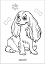 Раскраска для малышей, раскраска породистых собак, Раскраска 2+, Лепрекон