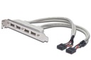 Kabel na śledziu USB 2.0 HighSpeed Typ 2xIDC 5pin/4xUSB A M/Ż szary 0,25m