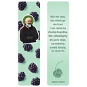 Закладка | Святой Падре Пио | Вера