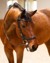 Вуздечка Presteq 1 (Повіді)