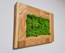 Картина мох Кработек Дубовая рама Картина из мха