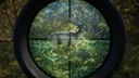 THEHUNTER CALL OF THE WILD MASTER HUNTER КОД XBOX