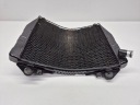KAWASAKI ZX 9R NINJA ZX 900 (94) RADIATEUR EAU PROTECTIONphoto 4