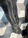 BMW F15 F16 N57 X5M50D X6M50D РЕМІНЬ ПЕРЕДНІЙ ПІДСИЛЕННЯ ПЕРЕДНЄ  (16964349616) фото min 8