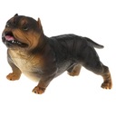 Kreslenie zvierat pes model zvieraťa sochy vzdelávacie hračky pre deti Kód výrobcu ZKWQN-A2658OP