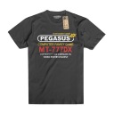 Футболка Pegasus MT-777DX с упаковочной коробкой