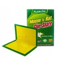 1x МЫШЕЛОВКА LEP БОЛЬШАЯ МЫШЕЛОВКА