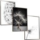 НАБОР 50x40 РАМКА ПОСТЕР ИЗОБРАЖЕНИЕ ОДУВШИНЫ ВОСХИТИТЕЛЬНО