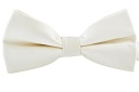 ГАЛСТУК-БАБОЧКА МУЖСКАЯ ELEGANT ECRU, желтый + КАРМАННАЯ ПРОВЕРКА