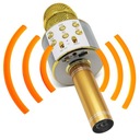 Игрушка-микрофон для караоке Bluetooth для детей с динамиком ECHO Manta