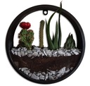 Подвесной настенный горшок для цветов - Circle Planter - L