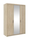 Современный шкаф с зеркалом Sonoma 133см 3D Румба