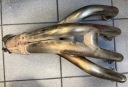SUZUKI GSF 1200 BANDIT S КОЛЕКТОР ВЫПУСКНОЙ  фото 6