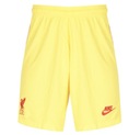 Шорты Liverpool Third Nike 2021/2022 Шорты S