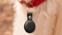 Чехол Apple SM AIR TAG для собак и кошек, локатор ключей