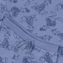 Dojčenská tepláková súprava Káčer Donald DISNEY 68 Značka Disney