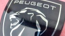 PEUGEOT 308 3 ЗНАЧОК ЕМБЛЕМА W РЕШІТКА 2204  (15319785802) фото min 5