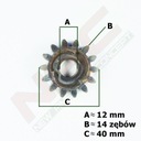 ВЕДУЩАЯ ЗВЕЗДОЧКА 