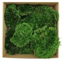 Mech Bagienny Poduszkowy do Chrobotek 0.55m2