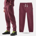 ДЕТСКИЕ СПОРТИВНЫЕ БРЮКИ 4F ДЛЯ МАЛЬЧИКОВ, ХЛОПОК AW23M419
