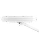 Dielenská LED lampa Elegante 801-tl so zverákom reg. intenzita a farba s EAN (GTIN) 5906717413759