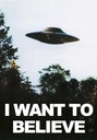Plakat I Want to Believe X Files 100x70cm #281