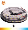 ДНЕВНАЯ ЛЕНТА LED STRIP 5050 STRONG NEUTRAL 4000K