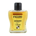 Figaro Monsiuer voda po holení 100Ml EAN (GTIN) 8004120906534