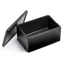 ТЕРМОИЗОЛЯЦИОННЫЙ КОНТЕЙНЕР GN1/1 200 FORGAST FG05413