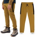 СПОРТИВНЫЕ БРЮКИ ДЛЯ МАЛЬЧИКОВ 4F КОМФОРТНЫЕ СПОРТИВНЫЕ БРЮКИ ДЛЯ ДЕТЕЙ, ХЛОПОК AW23M414