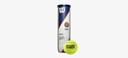 Теннисные мячи Wilson Roland Garros Clay CT (4 шт)