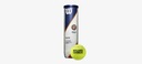 Tenisové loptičky Wilson Roland Garros Clay CT (4 ks) Značka Wilson