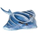 ОДИНОЧНАЯ ИГРУШКА ДЛЯ ПЛАВАНИЯ