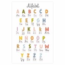 Развивающий плакат Алфавит А3 МОНТЕССОРИ