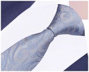 Жаккардовый мужской галстук с узором пейсли из стали GREG g126