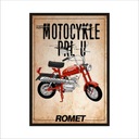Картина на стене МОТОЦИКЛЫ ПРЛ МОТОРИНА