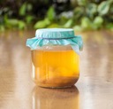 ЧАЙНЫЙ ГРИБ ЧАЙНЫЙ КОМБУЧА SCOBY 7см ЗАкваска из чайного гриба