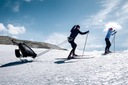 Комплект беговых лыж для кроссового прицепа THULE Chariot